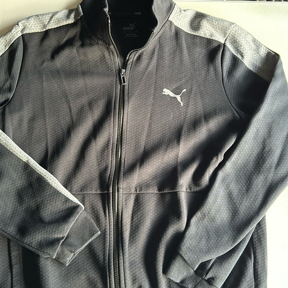 Puma - Picture 1 of 3